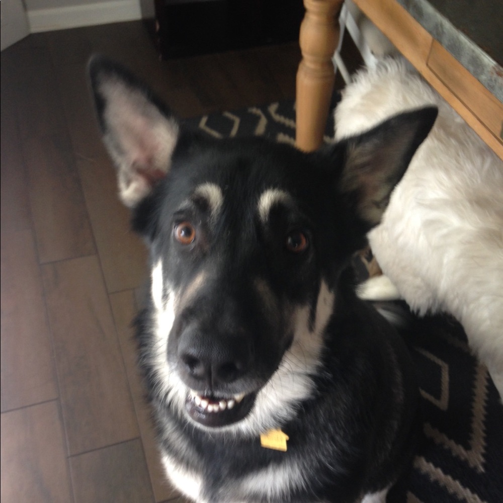 Meet your Posher, Bryan